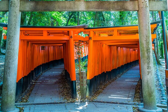 Full-Day Private Bamboo Grove and Golden Temple in Kyoto Tour - Key Points