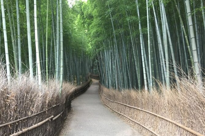 Full-Day Private Guided Tour in Kyoto, Arashiyama - Key Points
