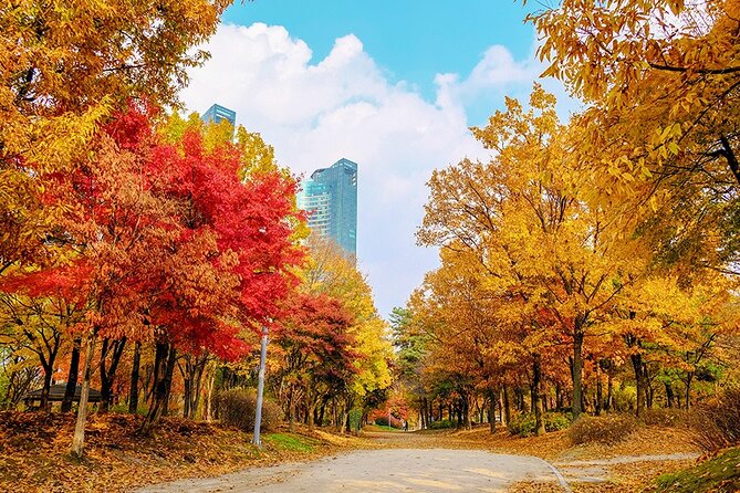 Full-Day Seoul Autumn Foliage Private Guided Tour - Key Points
