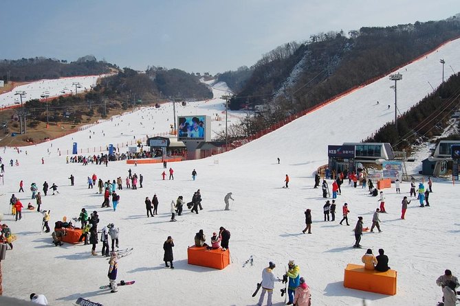 Full-Day Ski Package to Elysian Ski Resort From Seoul - Key Points