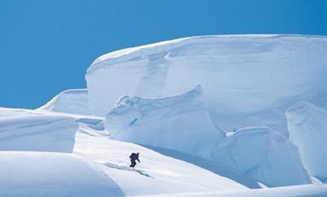 Full Day Ski the Tasman - Key Points