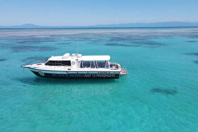 Full-Day Small-Group Guided Snorkeling Tour, Outer Reef  - Port Douglas - Key Points