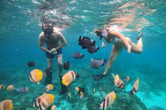 Full Day Snorkeling Activity at Bali Blue Lagoon - Key Points