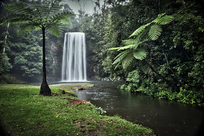 Full-Day Tour at the Atherton Tablelands With Food Tasting - Key Points