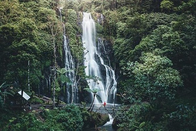 Full-Day Tour : Bedugul Temple, Banyumala Twin Waterfall, Jatiluwih Rice Terrace - Tour Highlights