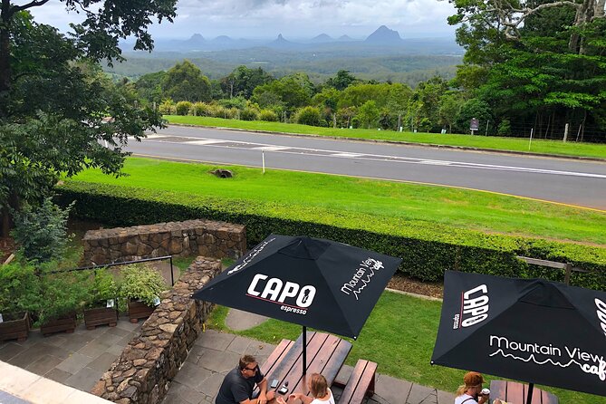 Glass House Mountains, Maleny and Montville Tour From Brisbane - Key Points