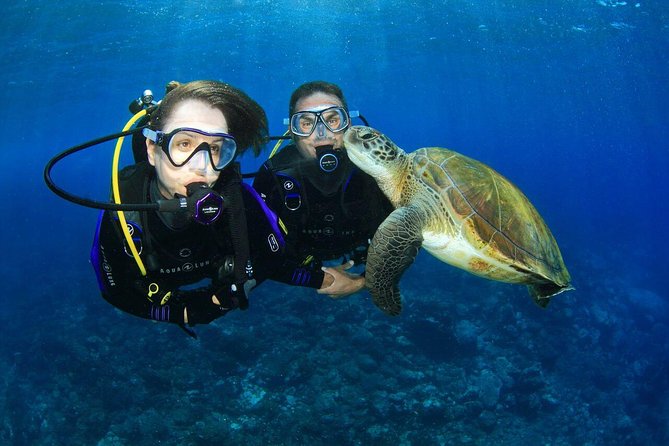 Gold Coast Try-Scuba Experience at Wave Break Island - Key Points