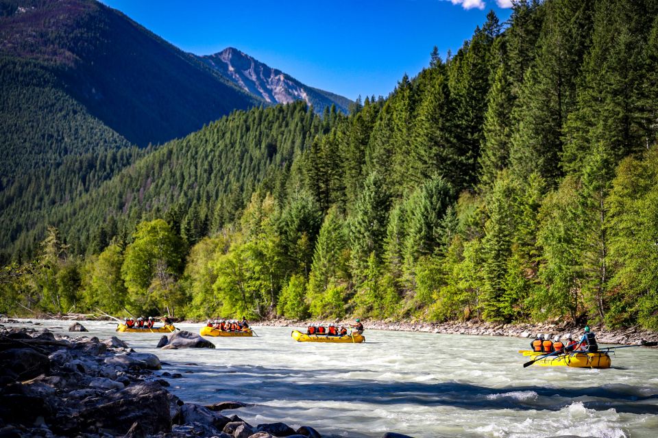 Golden, BC: Kicking Horse River Half Day Whitewater Rafting - Key Points