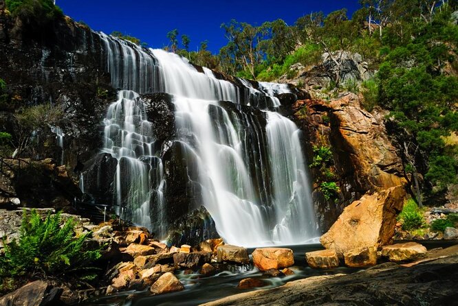 Grampians National Park With Kangaroos and Mackenzie Falls From Melbourne - Key Points