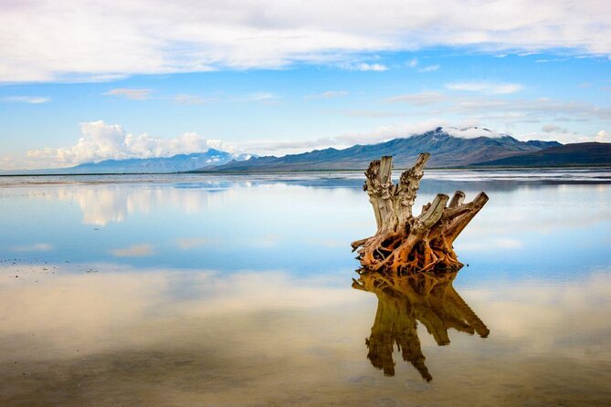 Great Salt Lake Guided Bus Tour From Salt Lake City - Key Points