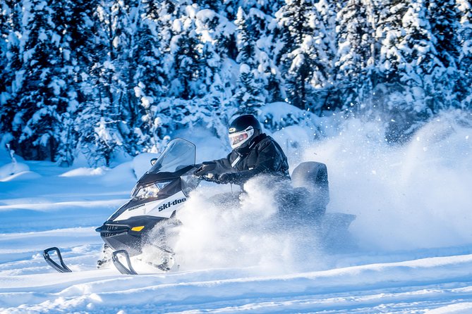 Guided Fairbanks Snowmobile Tour - Booking Details