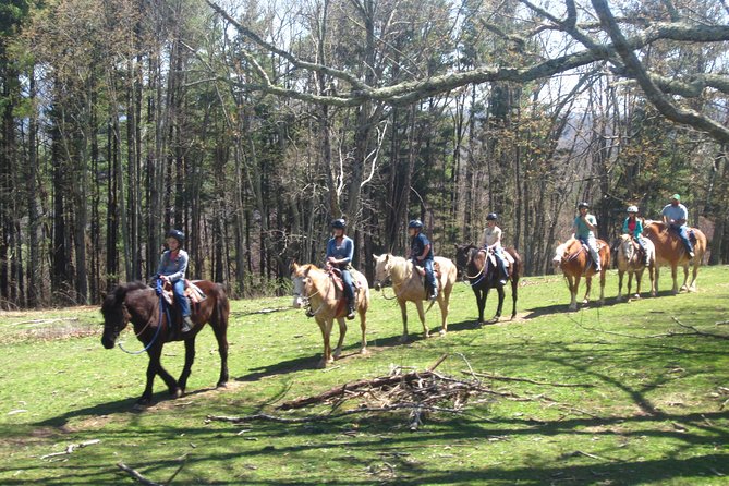 Guided Horseback Ride Through Flame Azalea and Fern Forest - Experience Details