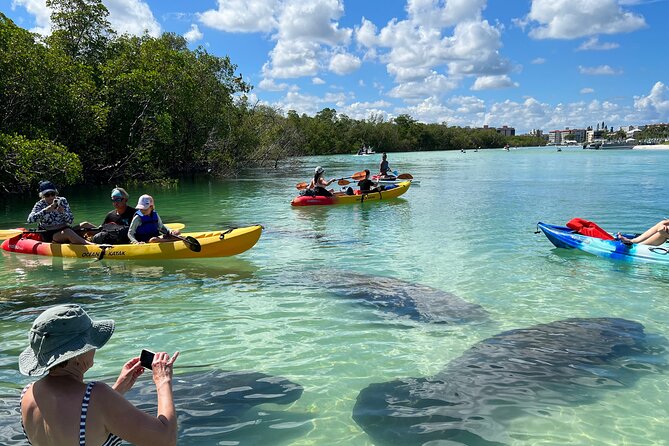 Guided Island Eco Tour - CLEAR or Standard Kayak or Board - Key Points