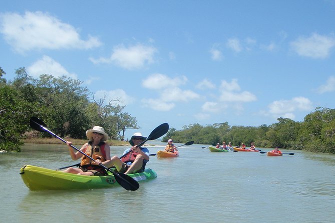 Guided Kayak Eco Tour - Bunche Beach - Key Points