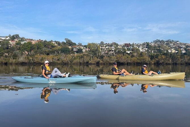 Guided Kayak Tour on Launcestons Scenic Waterfront on Foot Powered Hobie Kayaks - Key Points