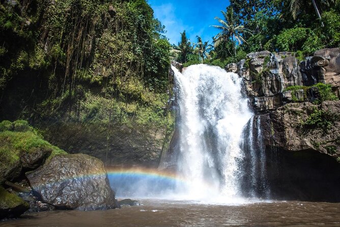 Gunung Kawi Temple Terrace Swing Waterfall Private Guided Tour - Key Points