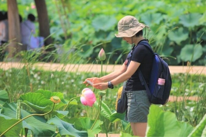 Half-Day Excursión Lotus Flowers and Local Foods From Busan - Key Points