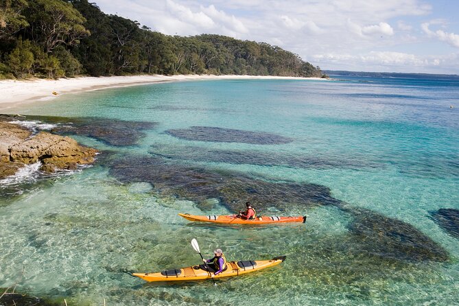 Half-Day Jervis Bay Sea Kayak Tour - Key Points