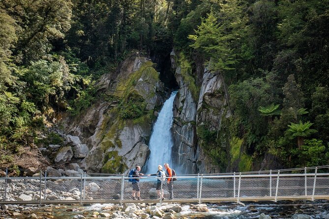 Half-Day Milford Track Guided Hiking Tour - Key Points