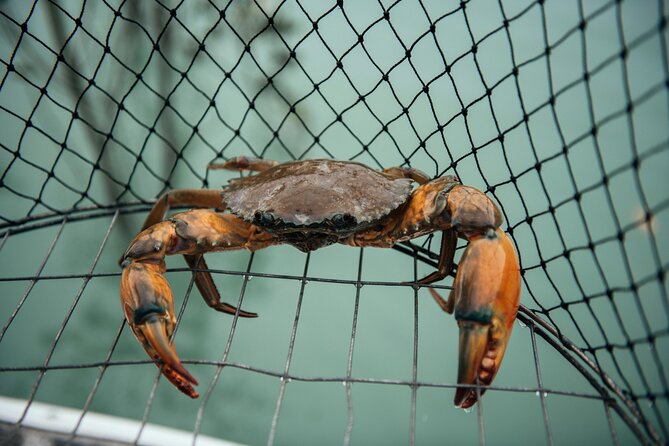 Half-Day Mud Crabbing Experience in Broome - Key Points