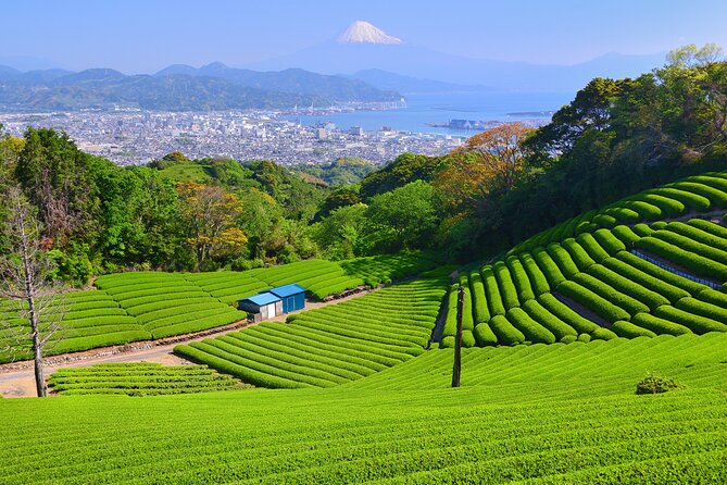 Half Day Private Sightseeing Tour Around Shimizu Port - Key Points