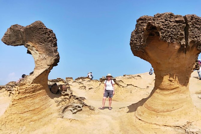 Half Day Private Tour to Yangmingshan National Park and Yehliu Geopark - Key Points