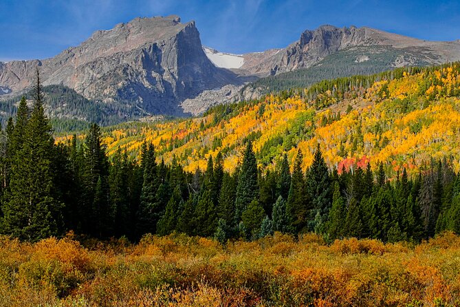 Half-Day Rocky Mountain National Park "Mountains to Sky Tour" - RMNPhotographer - Key Points