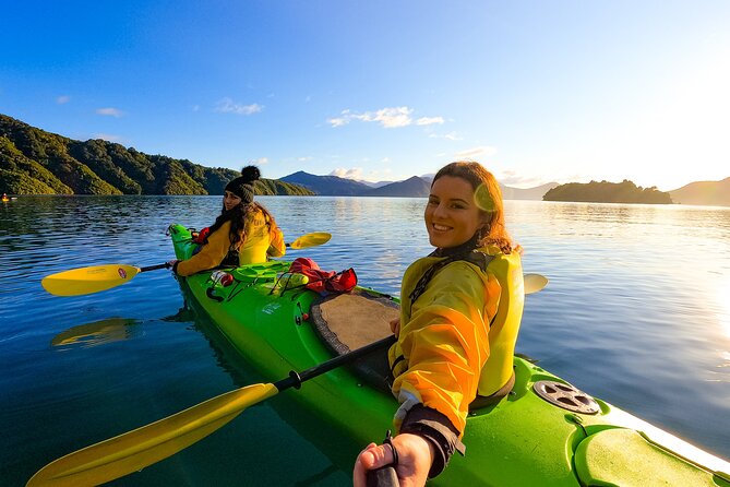 Half Day Sea Kayak Guided Tour From Picton - Key Points