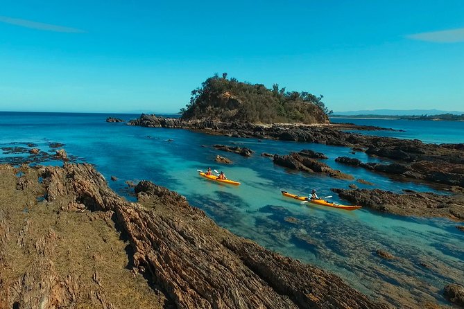 Half Day Sea Kayak Tour From Batemans Bay With Morning Tea and Snorkeling - Key Points