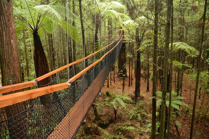 Half-Day Self-Guided Mountain Bike Journey Through Whakarewarewa Redwood Forest - Key Points