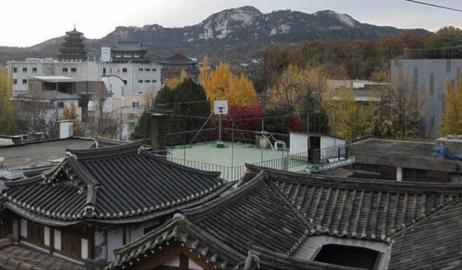 Half Day Walking Tour - Gyeongbok Palace & Bukchon Hanok Village - Key Points
