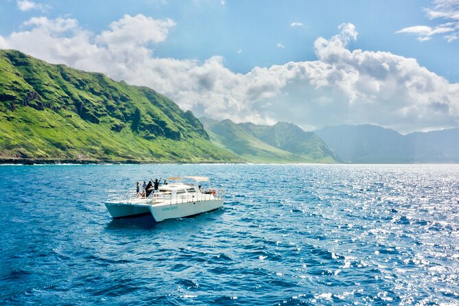 Hawaii: Oahu Dolphin and Sea Life Swimming and Snorkeling Trip  - Honolulu - Key Points