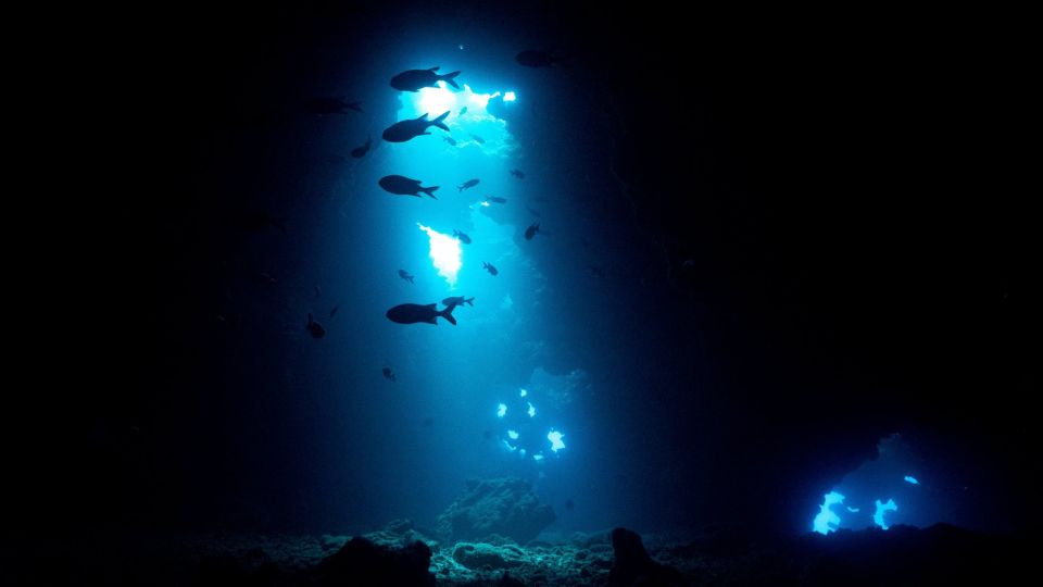 Hawaii: Small Group 2-Tank Lanai Cathedrals Dive - Key Points