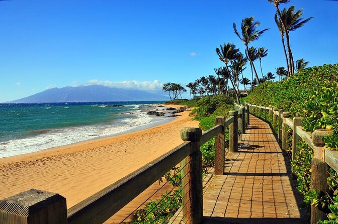 Hawaiian Outrigger Canoe Cultural and Turtle Tour - Key Points