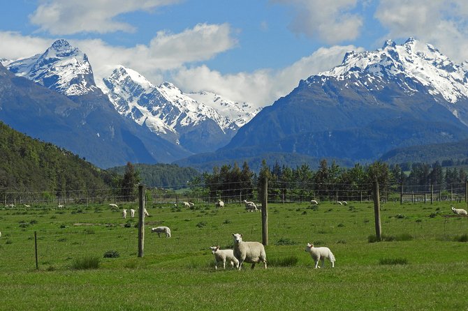 High Country Discovery Tour From Queenstown - Key Points