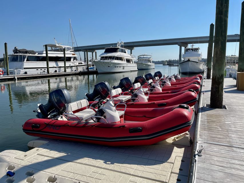 Hilton Head: Guided Disappearing Island Tour by Mini Boat - Key Points