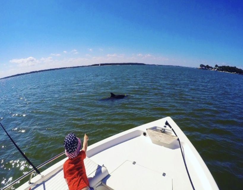 Hilton Head Island: Private Dolphin Watching Boat Tour - Key Points