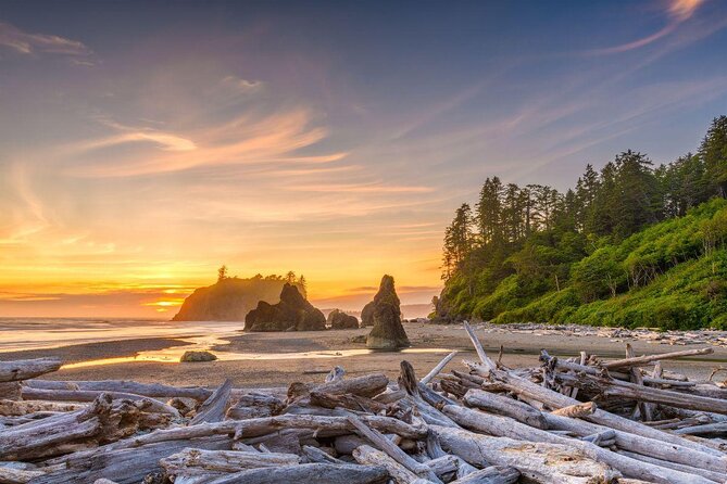 Hoh Rain Forest and Rialto Beach Guided Tour in Olympic National Park - Key Points