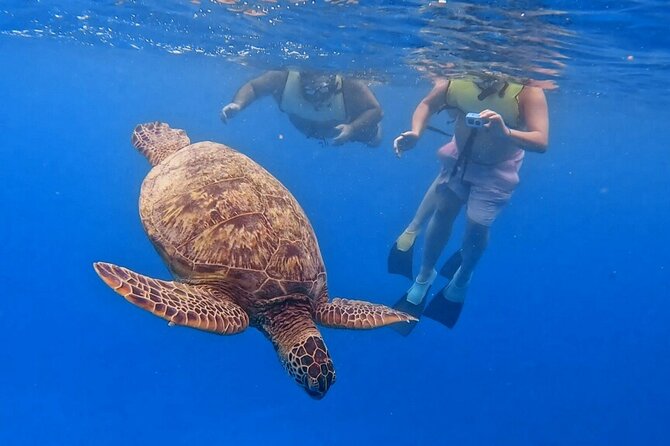 Honolulu Maunalua Bay Snorkel Tour  - Oahu - Key Points