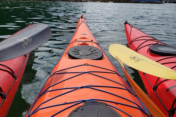 Hoonah Small-Group Kayak Tour - Key Points