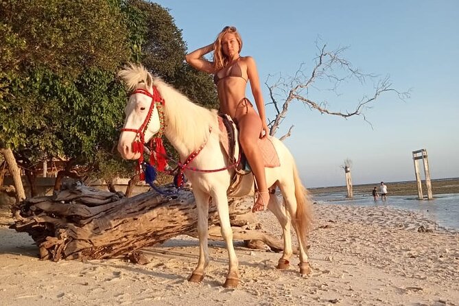Horse Ride On The Beach Gili Islands - Key Points