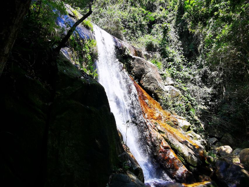 Ilha Grande: Private Hiking With Forest, Beaches & Waterfall - Key Points