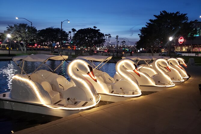 Illuminated Swan Boat Night Ride on Rainbow Lagoon - Key Points