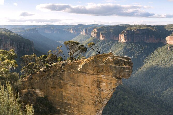 Inside the Greater Blue Mountains World Heritage - A Private Wildlife Safari Overnight - Key Points