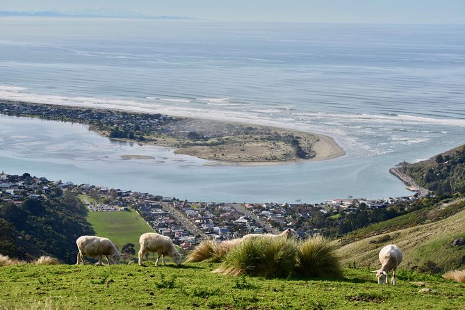 [Japanese Guide] Christchurch Scenic Tour (1 Day Tour) - Key Points