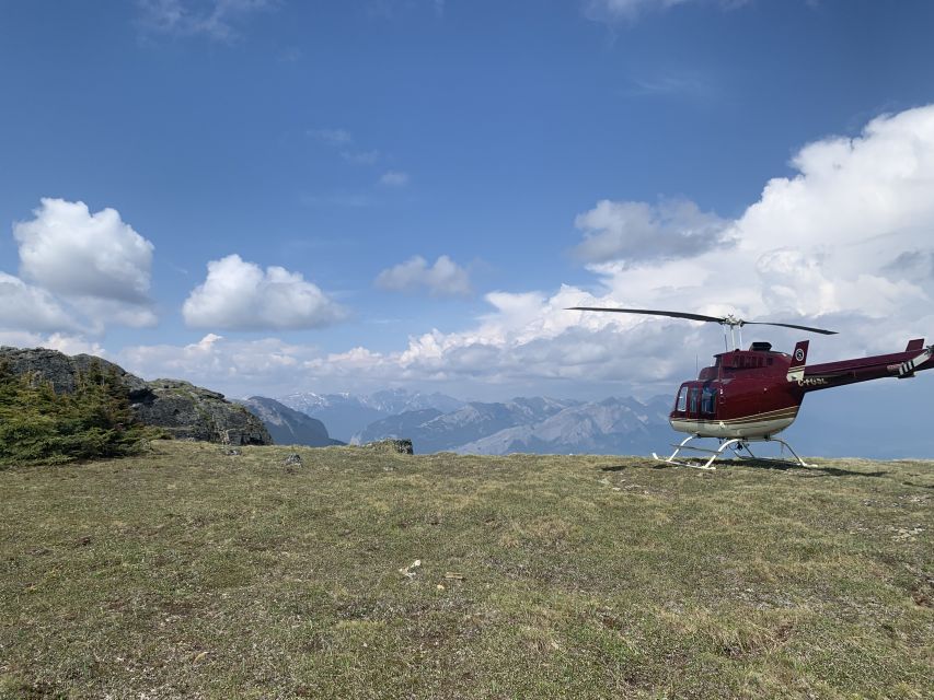 Jasper: Helicopter Tour With Mountain Top Landing and Hike - Key Points
