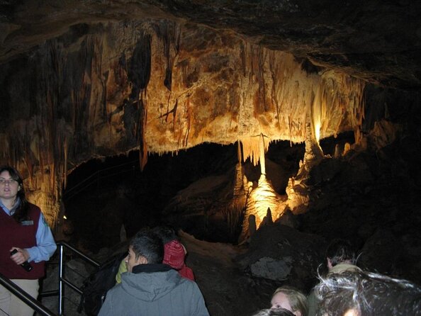 Jenolan Caves Blue Mountains Day Tour River Cruise - Key Points