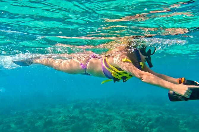Jet Snorkeling in Turtle, Dolphin and Monk Seal Bay - Key Points