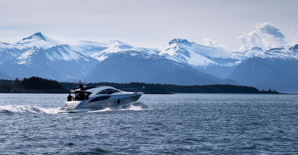 Juneau: All Inclusive Luxury Whale Watch - Key Points