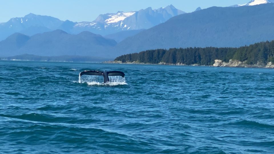 Juneau: Mendenhall Glacier Waterfall & Whale Watching Tour - Key Points
